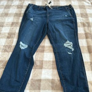 Torrid / Women’s Jeans / Size: 3X T 22-24